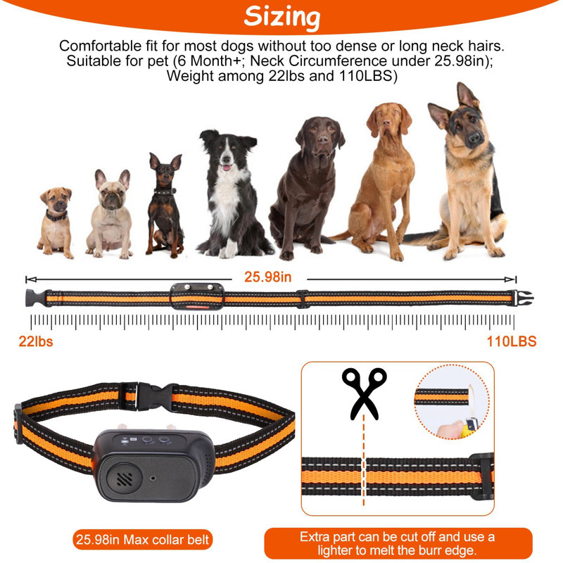 Dog Training Collar