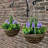 23cm Faux Flowering Topiary in Basket