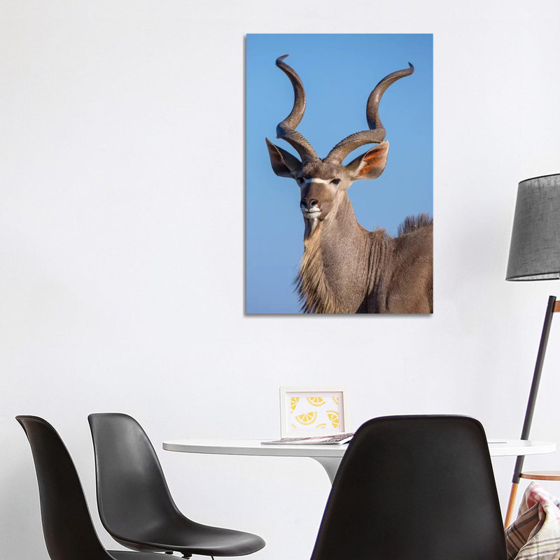 Kudu Portrait Etosha 1 Piece Wrapped Canvas Wall Art, 101.6 cm H x 66.04 cm W x 1.91 cm D