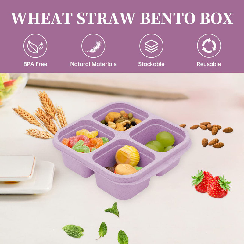 5-Pack Lunch Box, 4 Compartment Snack Container, Divided Snack Box, Colourful