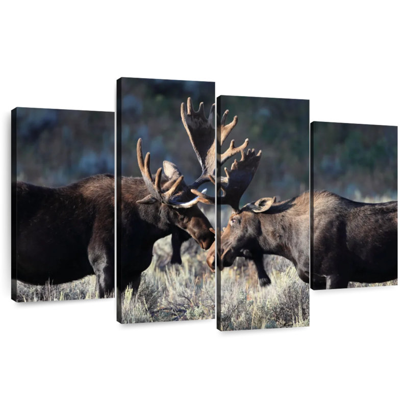 Moose In Grand Teton, 54" H x 84" W