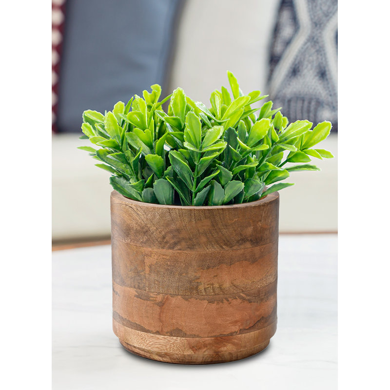 Cache pot Gaylor, H 6 po x l 6,5 po x P 6,5 po