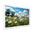 White Picture Framed