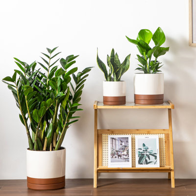 FLHPOT Ceramic Pot Planter