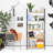 Ladder Bookcase