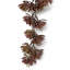 Hanging Plants X6 70cm Plant