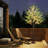 72'' Led Lighted Trees & Branches