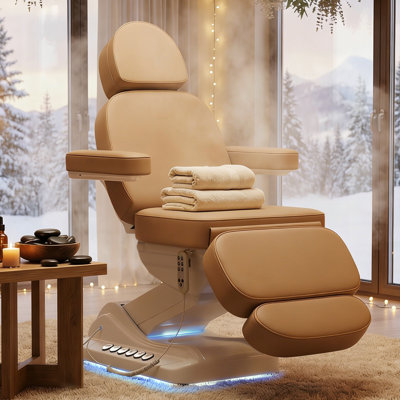 Professional Electric Esthetician Bed Massage Table, No Assembly, 3-Motor Adjustable Heating SPA Bed for Salon, Facial Lash Tattoo Chair for Client, Brown
