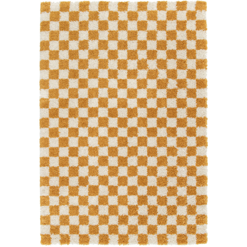 Rhylon Chequered Area Rug, Rectangle 120 x 170 cm