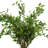 Smilax Arranged in a Ceramic Vase