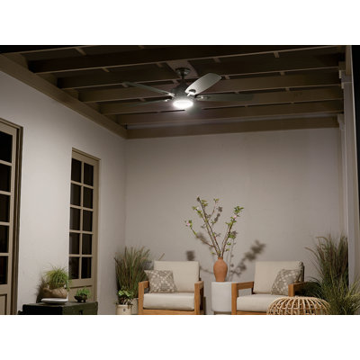56'' Ceiling Fan with LED Lights