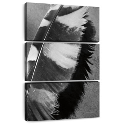 Plume Kerner Shadow II