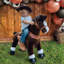 Model U Ride On Horse-87206354-87206351