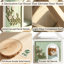 Maison pour chat d'intérieur en bois massif avec toit transparent, lit décoratif pour petits animaux sculpté à la main, vert sauge