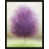 Black Framed Paper