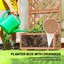 Planter-241596221