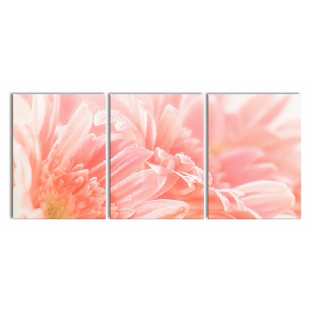 3-tlg. Leinwandbilder-Set Gerbera Blossom