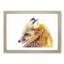 Red Fox in Winter - Framed Print-56758814-56758818