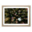 Green Forest N Sweden in Abstract - Picture Frame Graphic Art Print-55736162-55736163