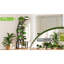Support pour plante d'intérieur 9 avec lumières de croissance Spectrum, 3 modes d'éclairage, construction, espaces de 63,6 po de hauteur et design