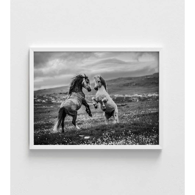 Black and White Horse Art Print - Wild Freedom Design, H 8 po x l 10 po, Framed Print without Mat, White