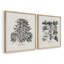 «Vintage Floral LXVI», impression giclée sur cadre - ensemble de 2-1569990971-1569990919