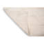Wool Oriental Area Rug in Ivory-70228212