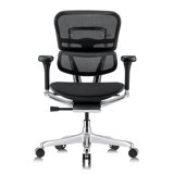 Tempur-Pedic Ergohuman GEN2 Mid Back Ergonomic Office Chair with Tempur-Pedic Seat, Adjustable Arms, Seat Height, Tilt Lock and Lumbar Support, Mesh Back