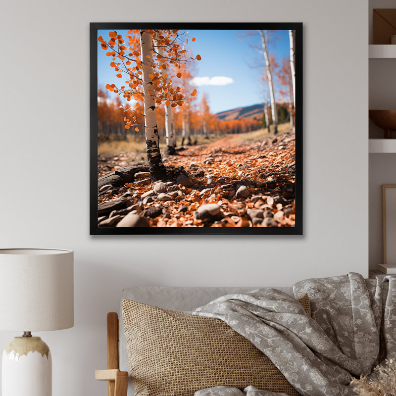 Aspen Tree Forest Majesty II - impression d'art mural paysage, Cadre simple noir, H 36 po x l 36 po x P 1,5 po