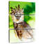 Aigle harpe Brampt-108663212