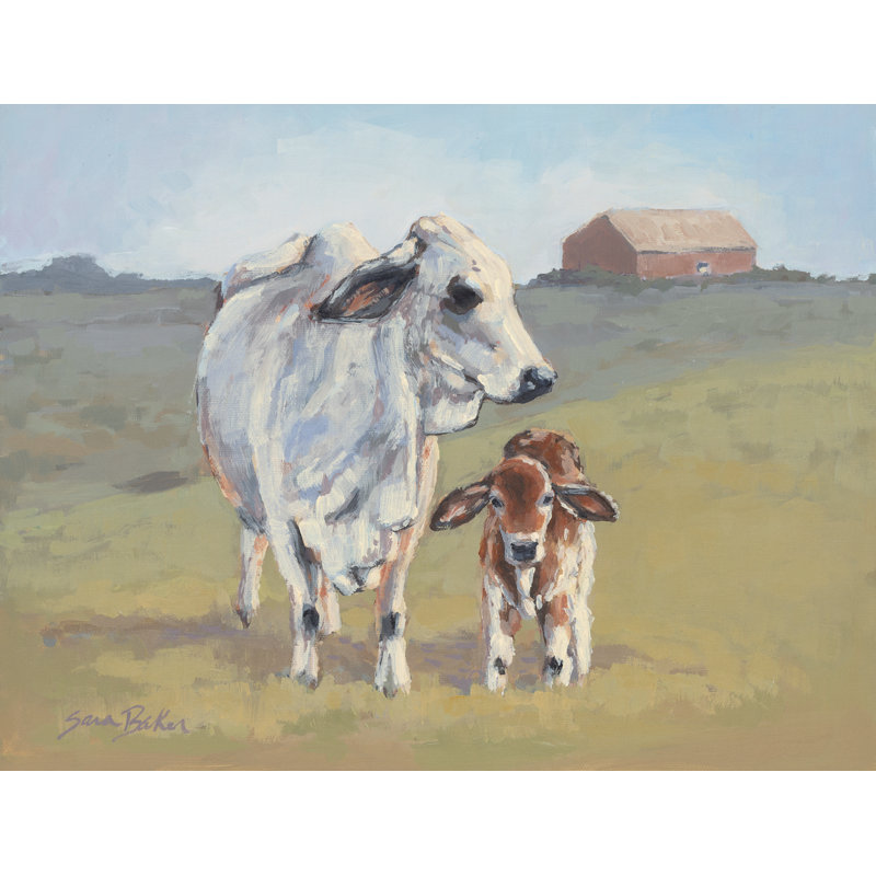 «Aylmar Brahman Baby on Canvas» par Sara Baker, reproduction, H 8 po x l 12 po x P 1,25 po
