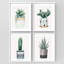 "Plantes succulentes et cactus en pot, aquarelle, œuvre d'art botanique, décor moderne et naturel", 4 pièces-101520470-101520475