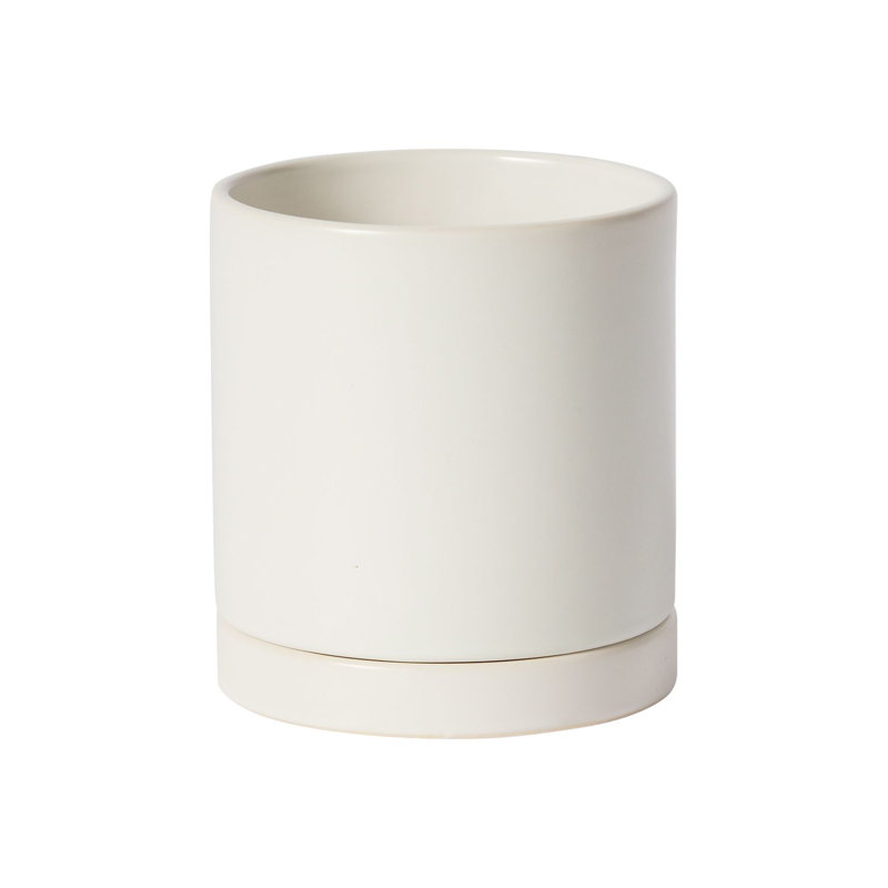 Pot de fleurs en céramique Carlotta, Blanc, H 4,75 po x l 4,25 po x P 4,25 po