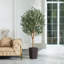 Olive artificielle George avec pot décoratif, faux olivier résistant aux rayons UV avec tronc naturel-1799478851-1799478849