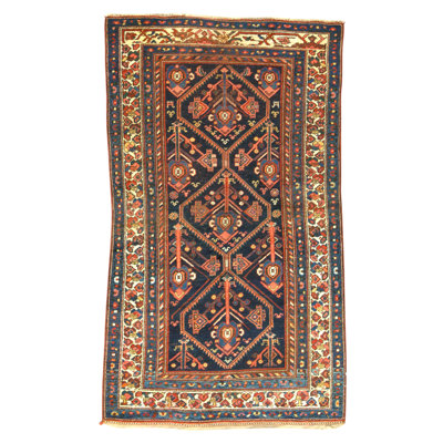 Hand Knotted Cotton Area Rug in Navy And Ivory