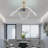 Nawatha 23'' Ceiling Fan with LED Lights