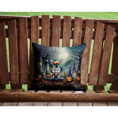  Other/No Pattern Throw Pillow
