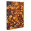 Fallen Leaves - Wrapped Canvas-56644039
