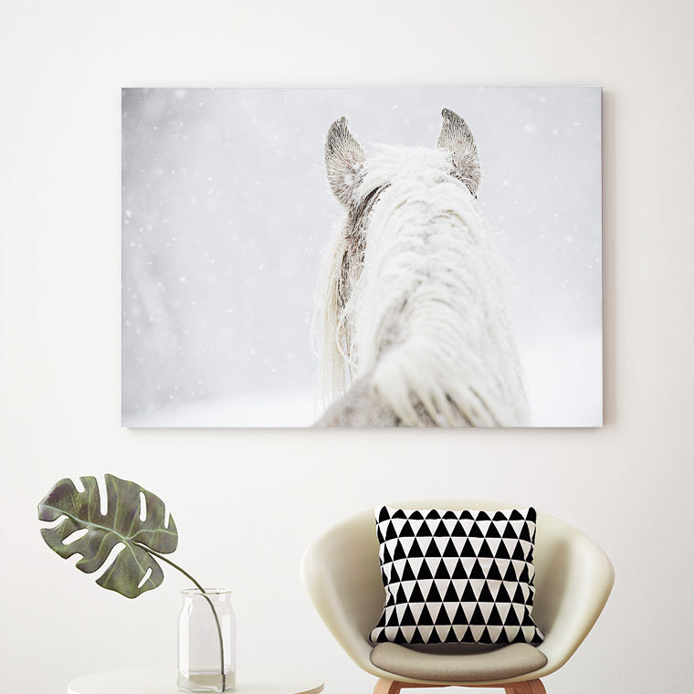 « winter dreaming », reproduction de photo sur toile, H 11 po x l 14 po x P 2 po