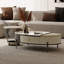 Ensemble de tables basses Modern