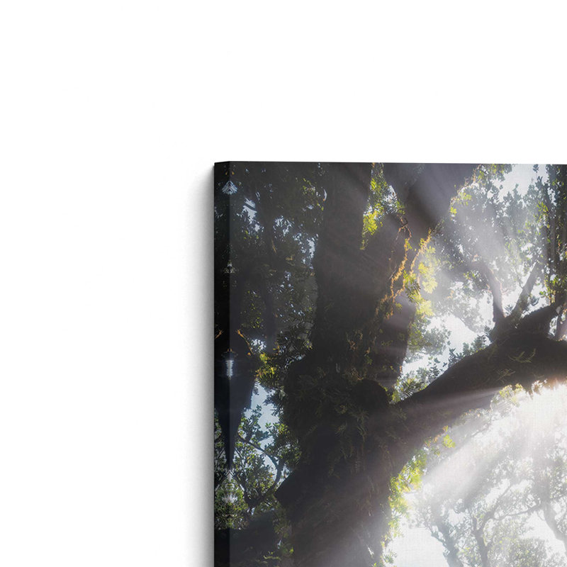 Reproduction d'art "Bend Rays" par Martin Podt, 32 W x 48 H, Does Not Apply, Unframed Canvas