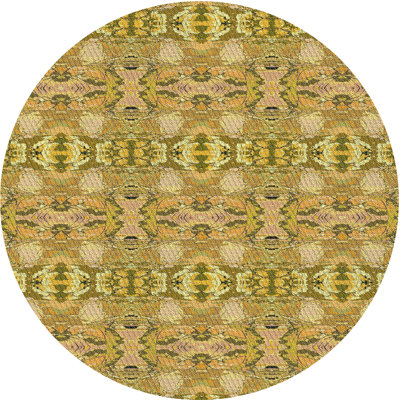 Indoor Rug