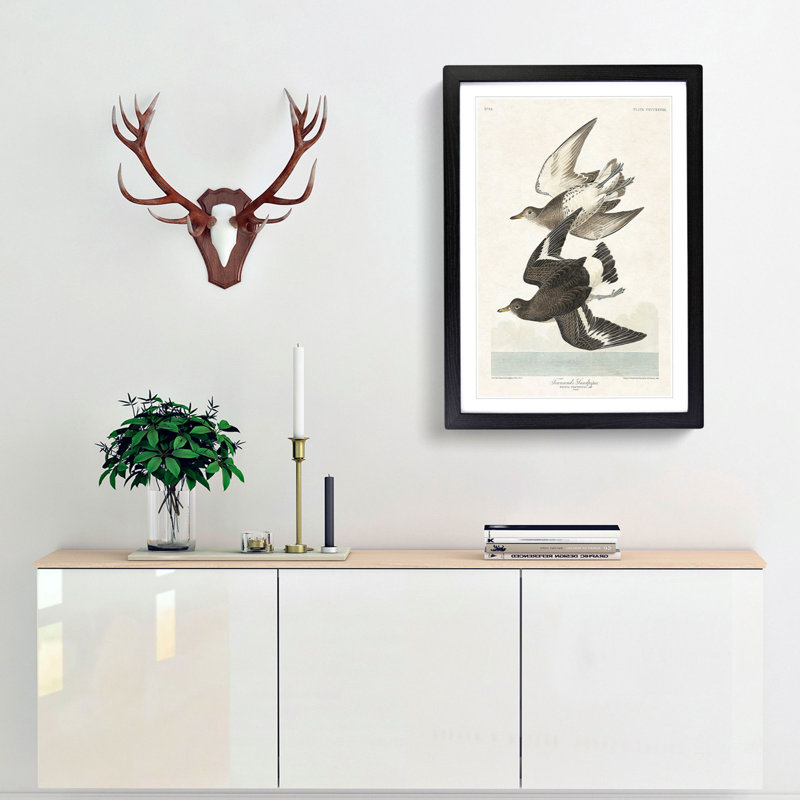 Flying Sandpiper Birds by John Audubon - Framed Print, 36cm H x 27cm W x 2cm D, Black Framed