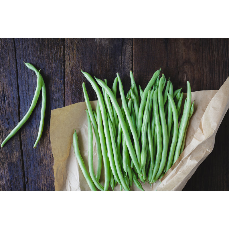 French Beans - Wrapped Canvas Print, 30cm H x 46cm W x 3.8cm D