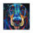 Dachshund In Space by Robert Phelps - Gallery-Wrapped Canvas Giclée on Canvas-1879821800-1879821801