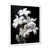 Cadre simple blanc