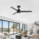Zelindo 48''Matte Black Ceiling Fan Without Light, Indoor Ceiling Fan no Light with Remote Control and Quiet DC Motor, Outdoor Ceiling Fans for porch Without Lights, Black 3 Blades