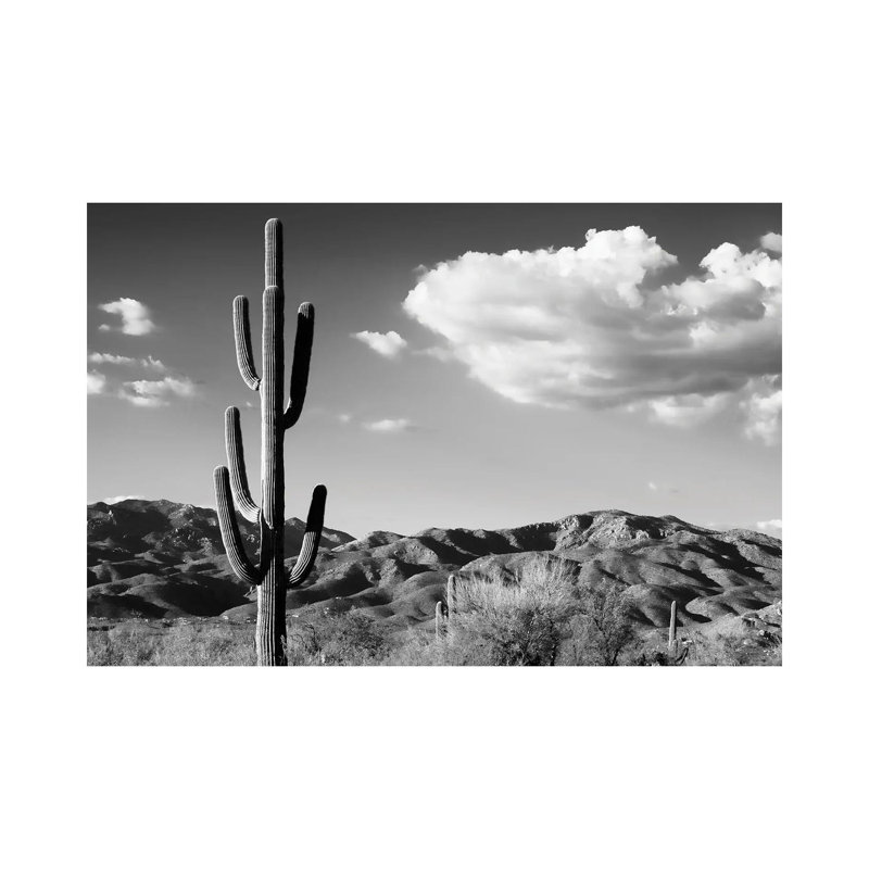 Saguaro Cactus Sunrise by Philippe Hugonnard - Wrapped Canvas Print, 30.48 cm H x 45.72 cm W