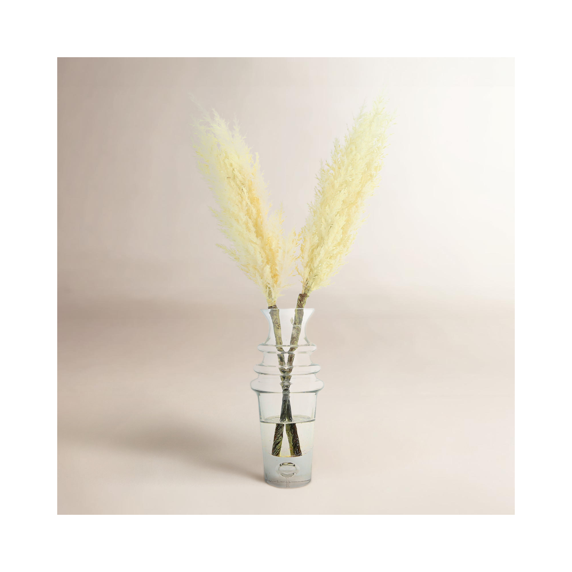 Pampas Floral Arrangement in Vase, Cream, 14" H x 15" W x 15" D