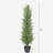 4' Artificial Real Touch Pine Tree in Black Plastic Pot, 1pc/set-1064939912-1064939914